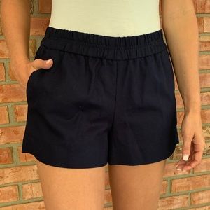 Navy Jcrew Shorts